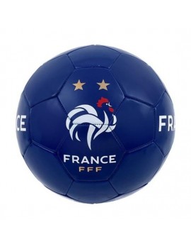 Ballon football FFF Dribble T5