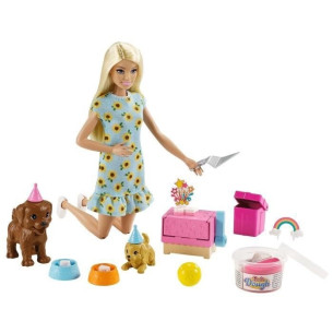 Barbie coffret anniversaire...