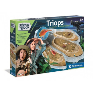 Triops les animaux...