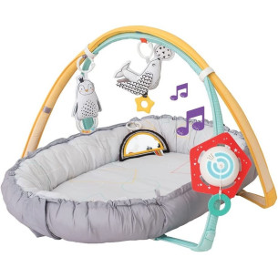 Aire de jeu pole nord - TAF TOYS