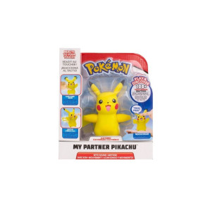my partner pikachu