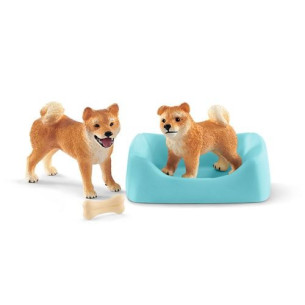 Mère et chiot Shiba Inu -...