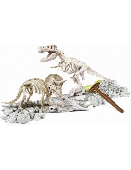 T-Rex & Tricératops...