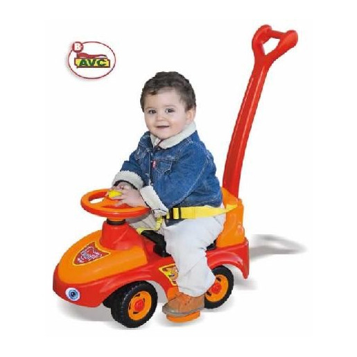 Porteur canne