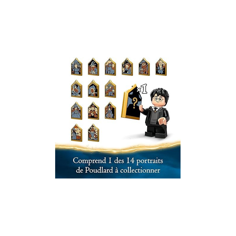 La volière du château de Poudlard 76430 - LEGO® Harry Potter™ - Harry Potter™