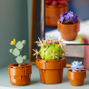 Les plantes miniatures 10329 - LEGO® Botanicals - LEGO®