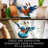 Le martin-pêcheur 10331 - LEGO® Icons - LEGO®