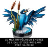 Le martin-pêcheur 10331 - LEGO® Icons - LEGO®