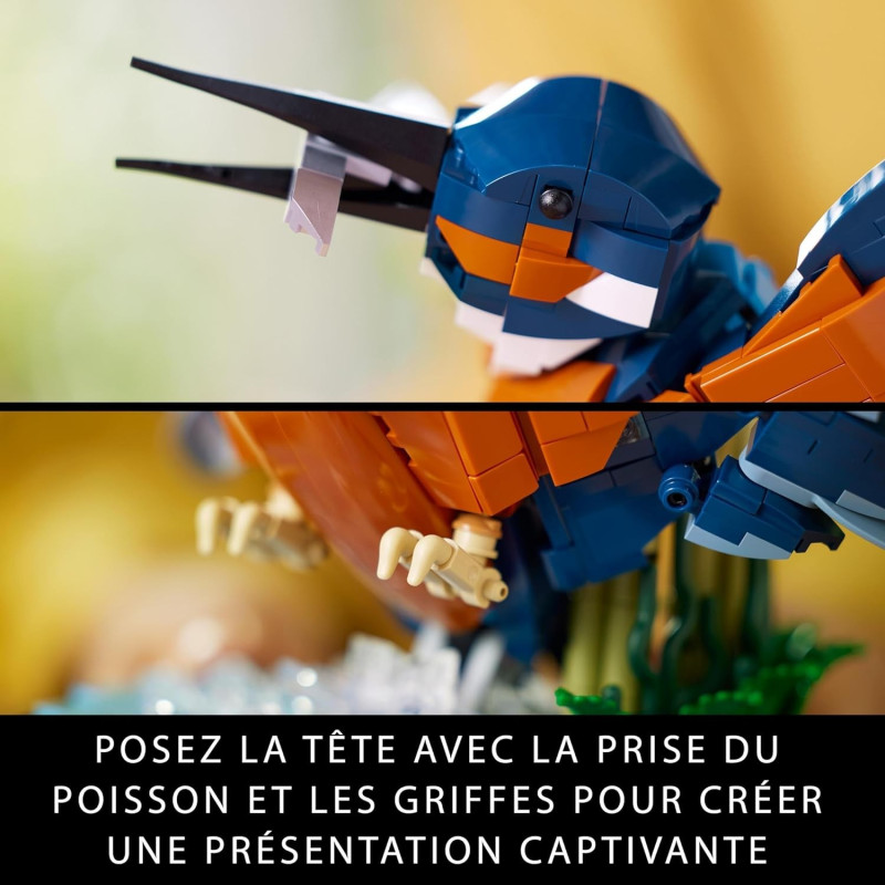 Le martin-pêcheur 10331 - LEGO® Icons - LEGO®