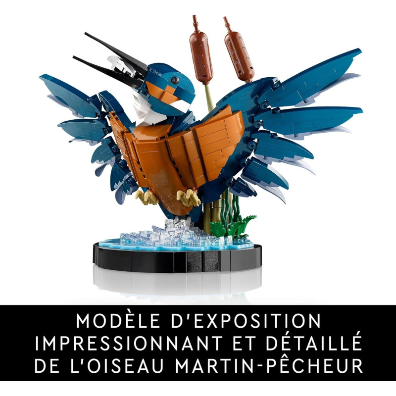 Le martin-pêcheur 10331 - LEGO® Icons - LEGO®