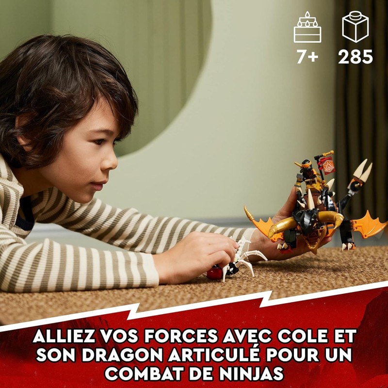 Le dragon de terre de Cole Évolution 71782 - LEGO® Ninjago - LEGO®