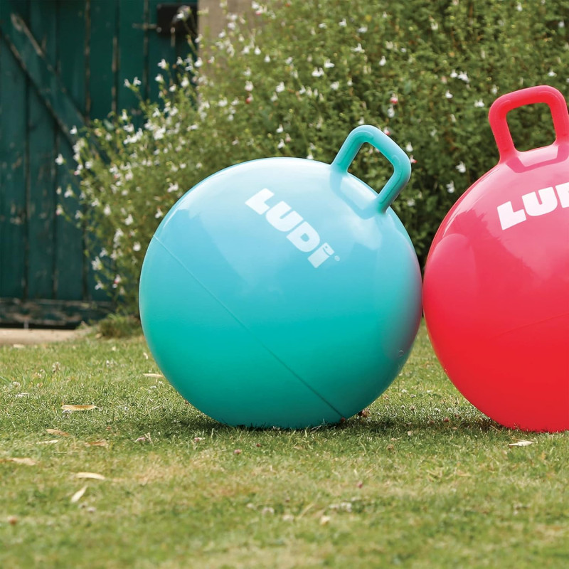 Ballon sauteur XXL - LUDI