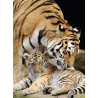 Puzzle 500 pièces Moment de tendresse Lion - NATHAN
