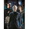Puzzles 3x1000 pièces - HARRY POTTER - CLEMENTONI