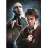 Puzzles 3x1000 pièces - HARRY POTTER - CLEMENTONI