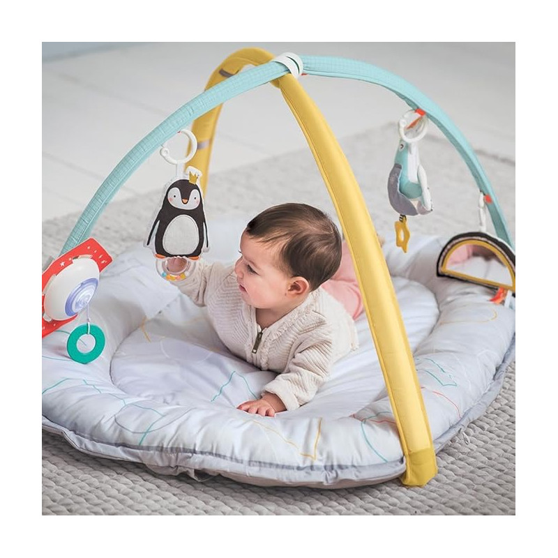 Aire de jeu pole nord - TAF TOYS
