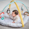 Aire de jeu pole nord - TAF TOYS