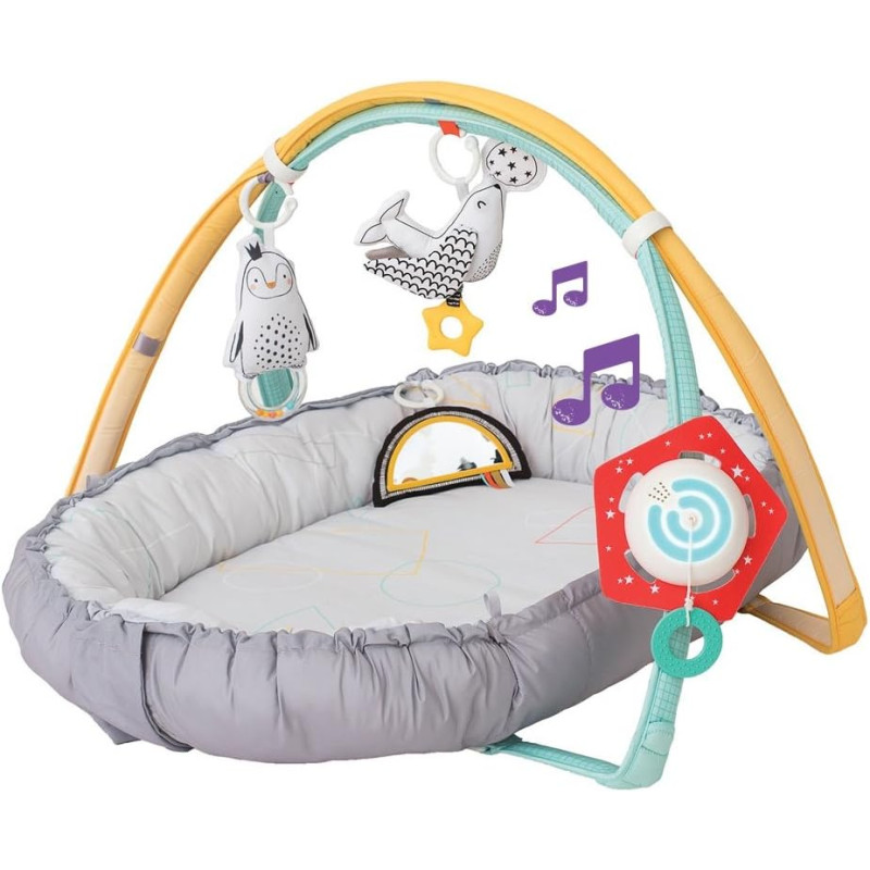 Aire de jeu pole nord - TAF TOYS