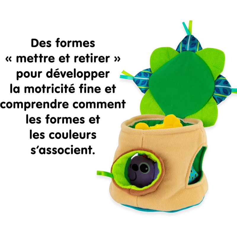 La Maison de Walla le Koala - LAMAZE