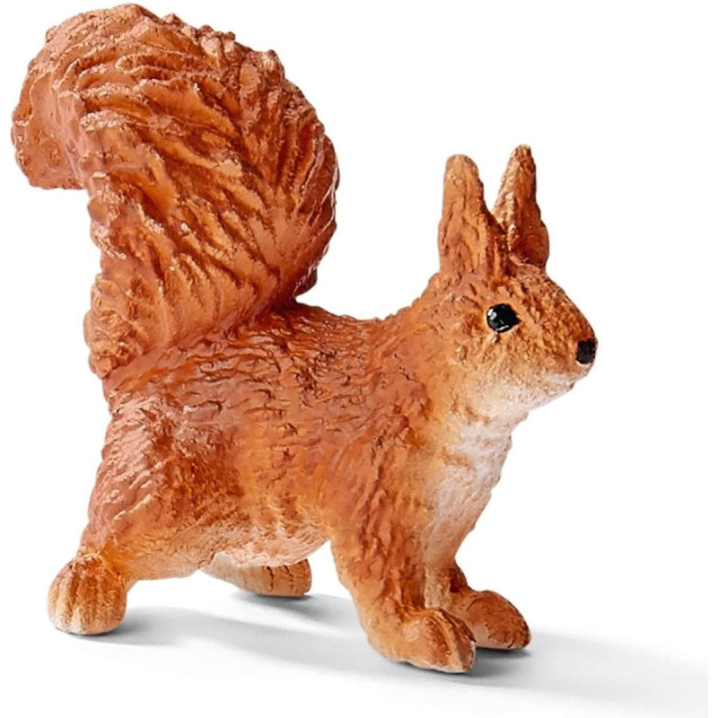 Entrainement au tournoi - SCHLEICH