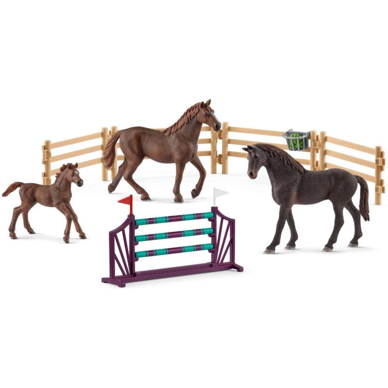 Entrainement au tournoi - SCHLEICH