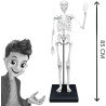 Squelette 85 cm - BUKI