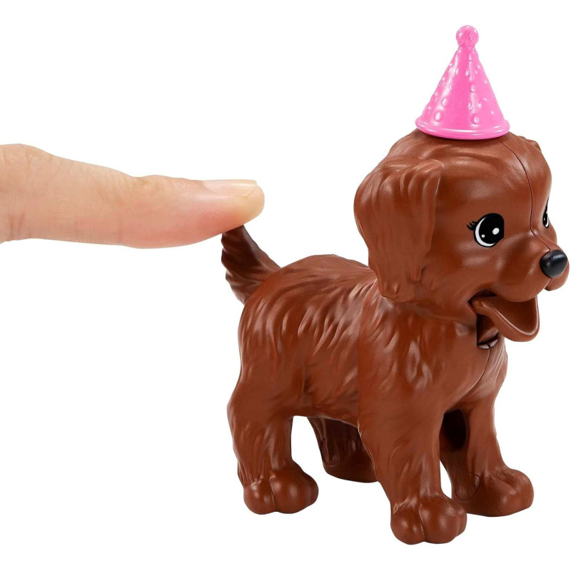 Barbie coffret anniversaire des chiens - BARBIE - MATTEL
