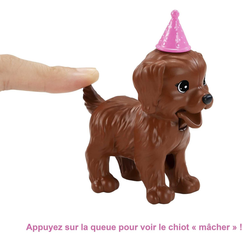 Barbie coffret anniversaire des chiens - BARBIE - MATTEL