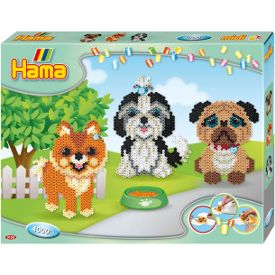 Midi Boite MM Le régal des chiens - HAMA