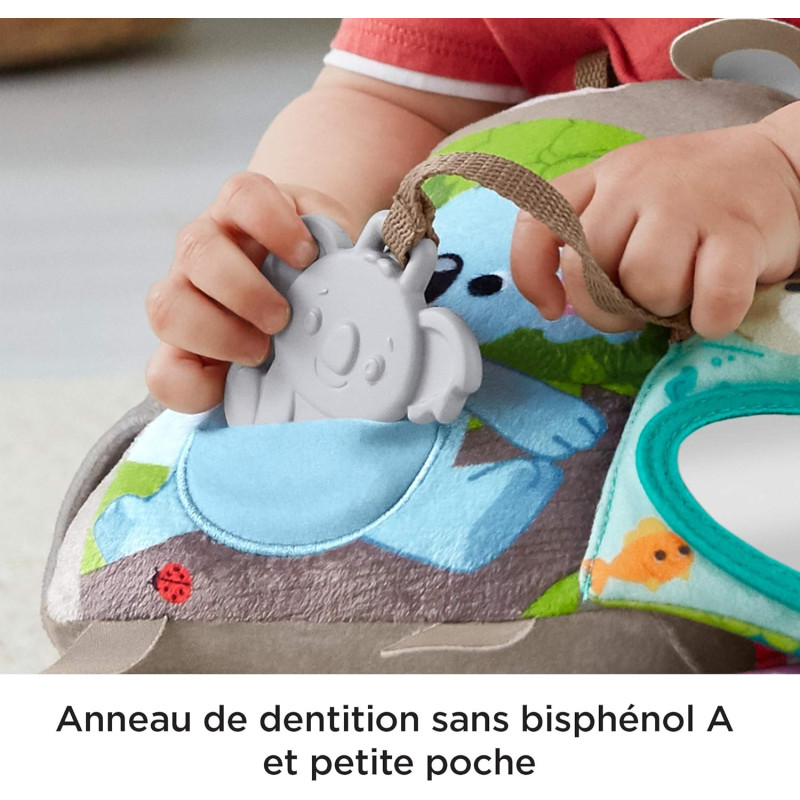 Mon livre peluche d'activités - FISHER PRICE