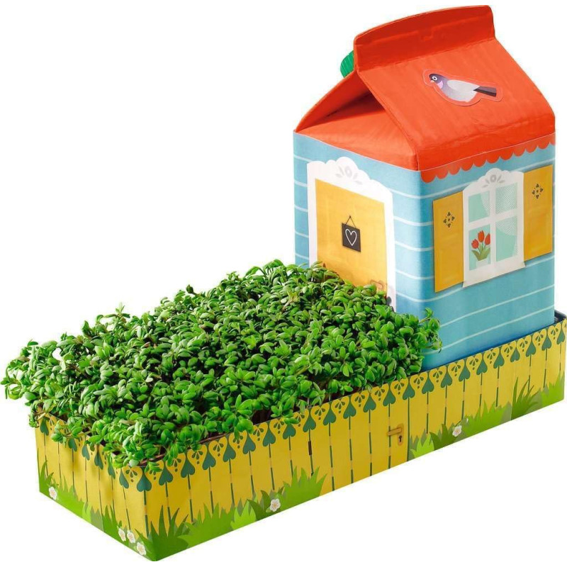 Eco créate plantations d'intérieur - RAVENSBURGER