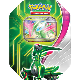 Pokebox Vert-de-Fer-ex - POKEMON