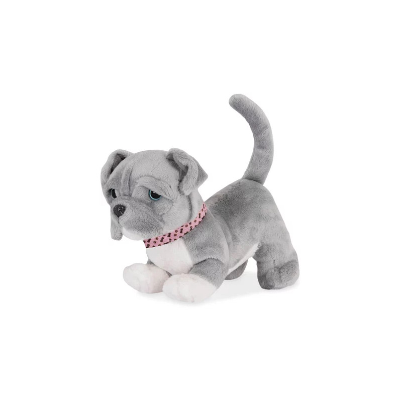 Chien Pitbull - OUR GENERATION