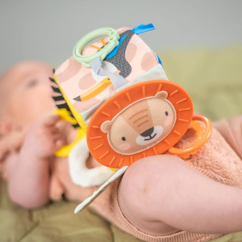 Cube d'activités Savane - TAF TOYS