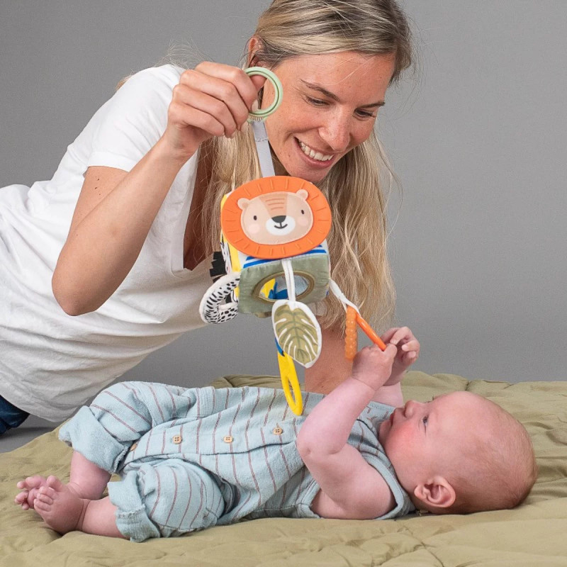 Cube d'activités Savane - TAF TOYS