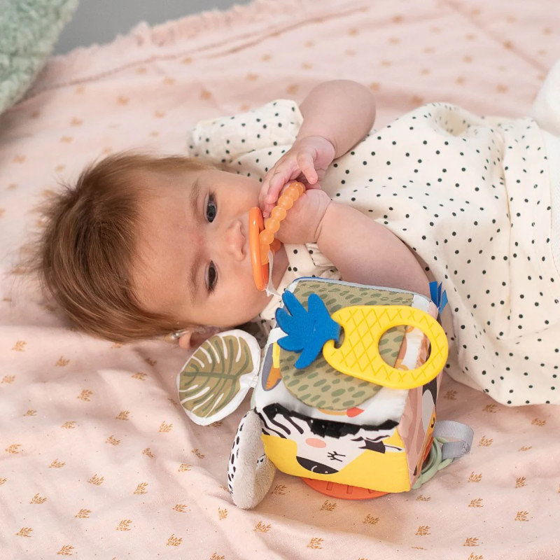 Cube d'activités Savane - TAF TOYS