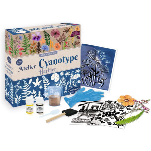 Atelier cyanotype herbier - SENTOSPHERE