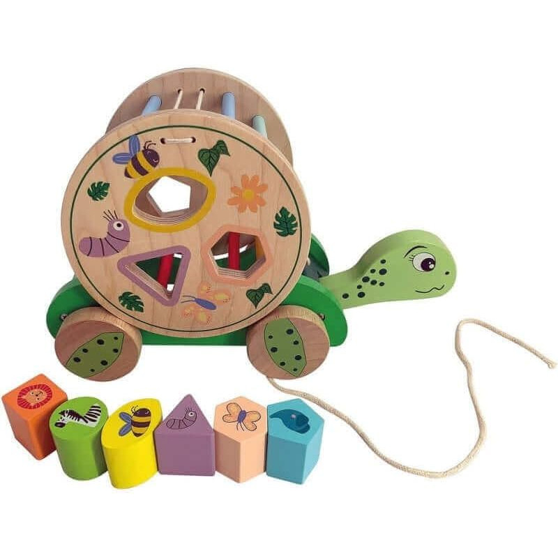 Tortue 8 formes en bois - WDK