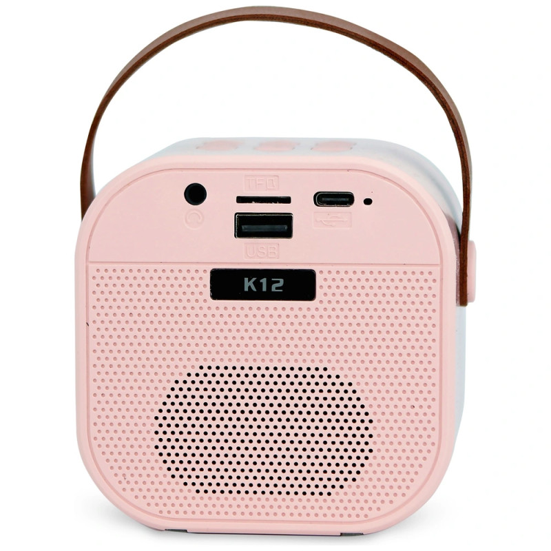 Ensemble karaoké avec micro rose - INOVALLEY