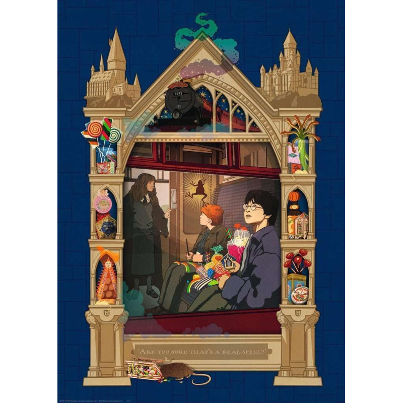 Puzzle 1000 pièces - Harry Potter en route vers Poudlard - RAVENSBURGER