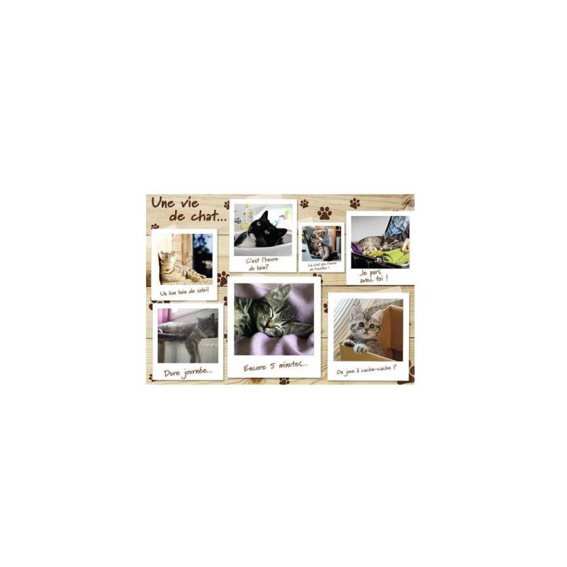 Puzzle 1500 pièces chatons, Une Vie De Chat - Collection Tendresse - NATHAN