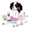 Accessoires petits chiens - BUKI