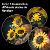 Bouquet de Tournesols 11502 - LEGO® Botanicals - LEGO®