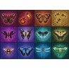 Puzzle 1000 pièces : créatures volantes - RAVENSBURGER