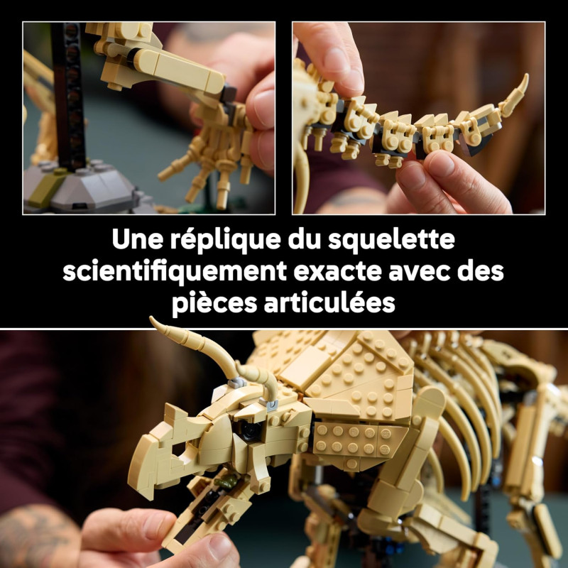 Fossiles de dinosaure Triceratops 77985 - LEGO® Jurassic World - LEGO®