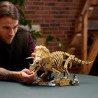 Fossiles de dinosaure Triceratops 77985 - LEGO® Jurassic World - LEGO®