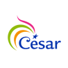 Cesar