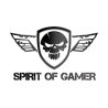 Spirit of gamer